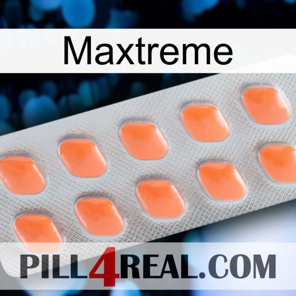 Maxtreme 26
